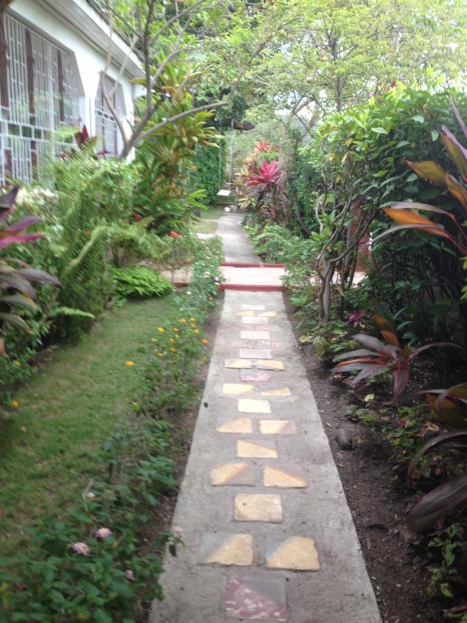 شقة 15 Min From The Airport In Kingston Jamaica المظهر الخارجي الصورة